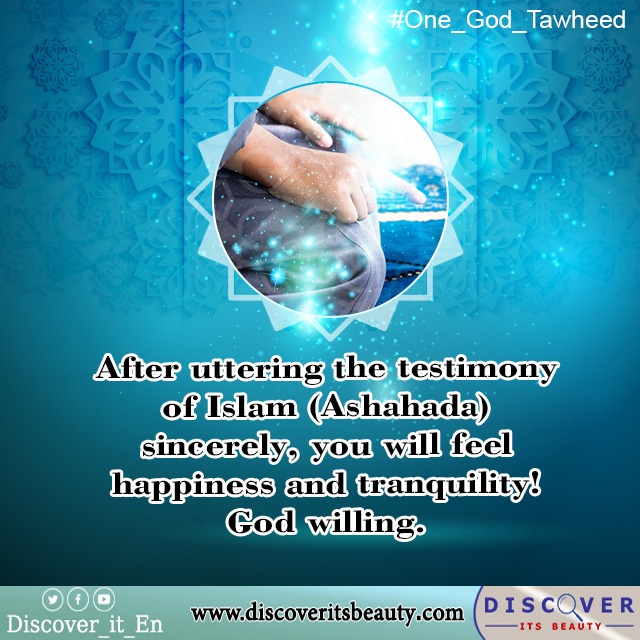 Cras convallis lacus