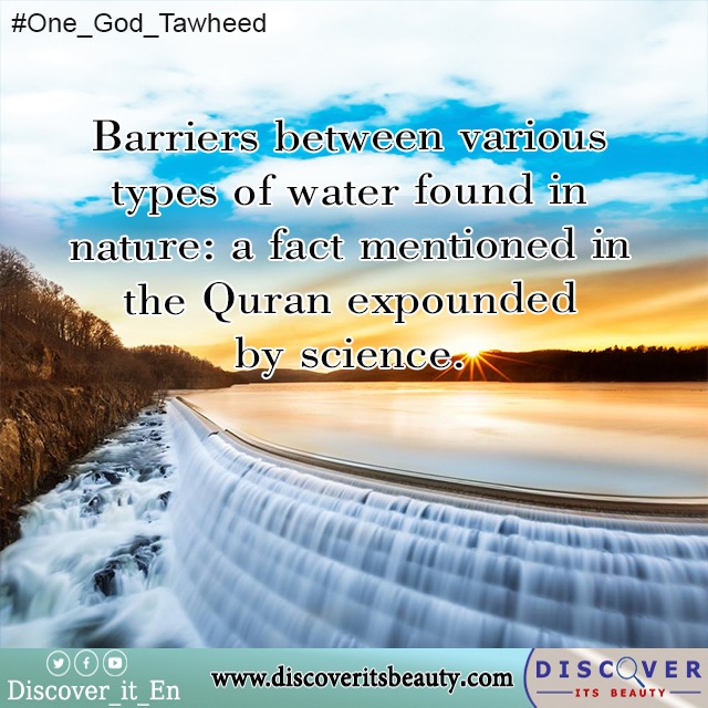 215