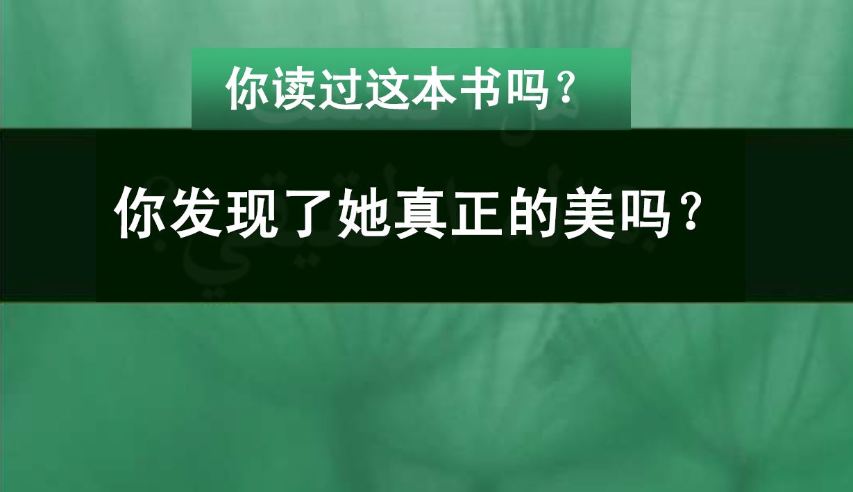 Cras convallis lacus