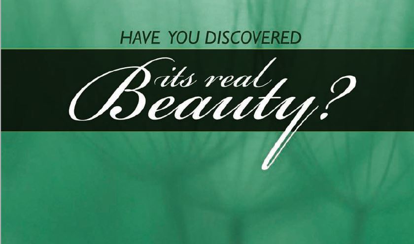 Have you Discover its Real Beauty