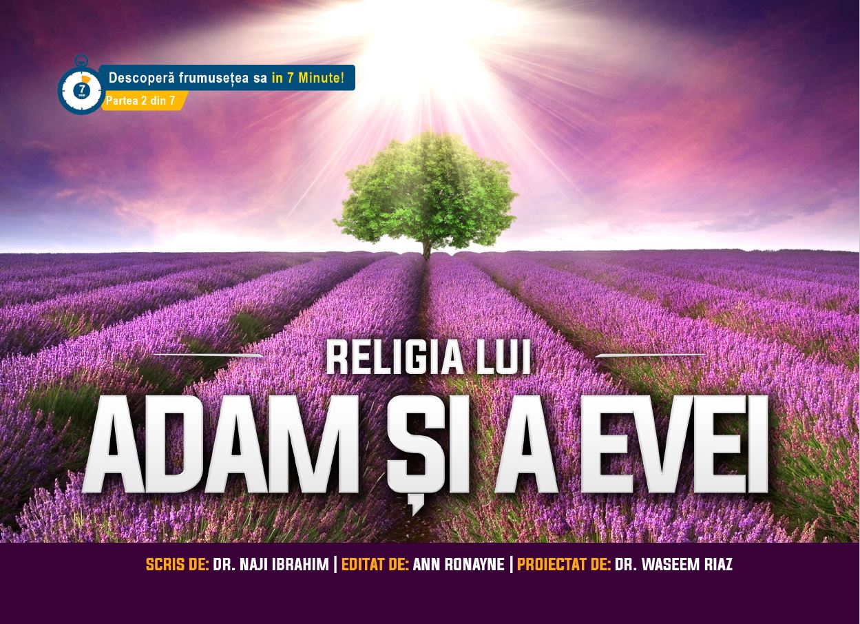 Cras convallis lacus