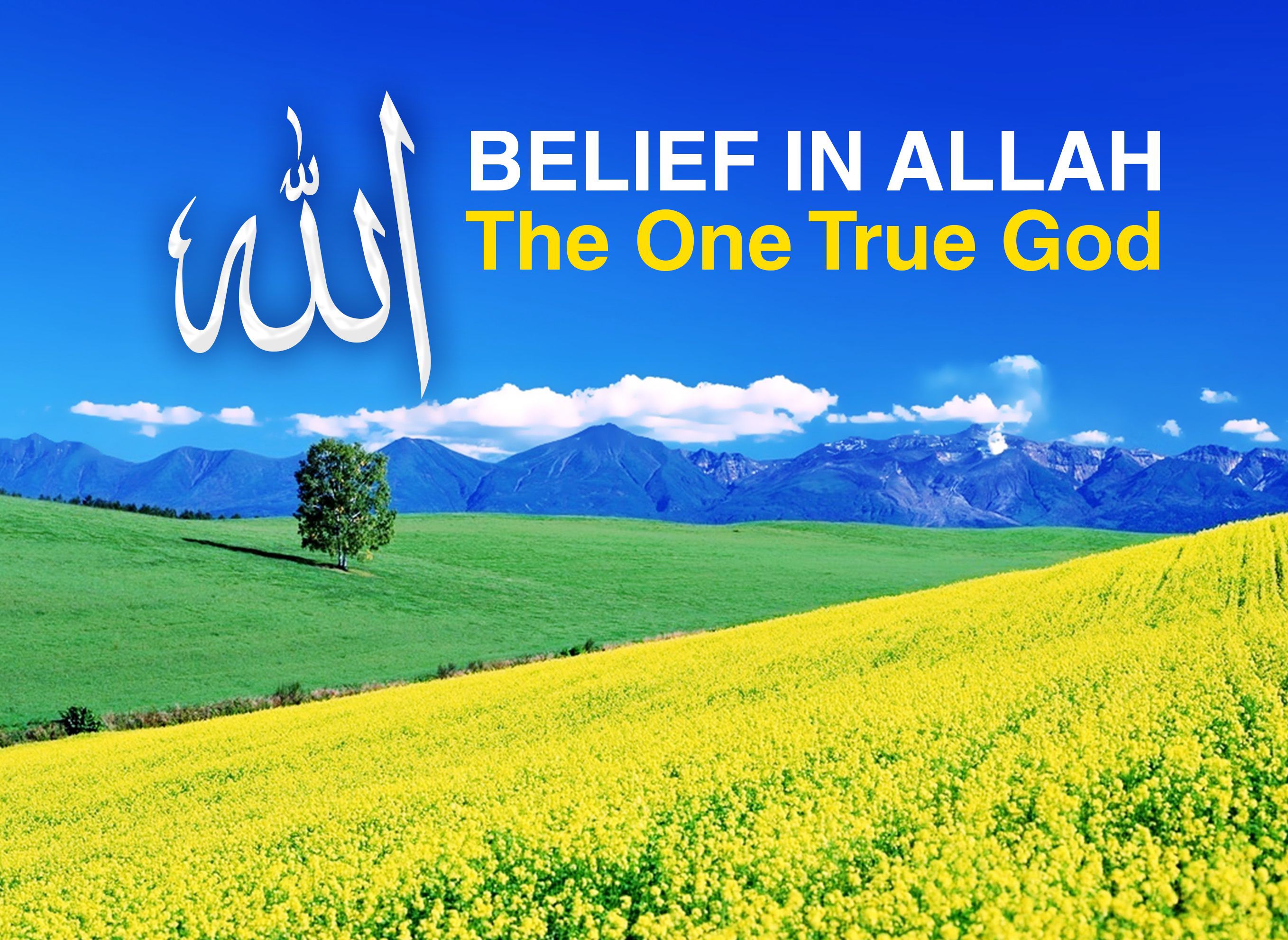 The ABCs of Islam — illustration