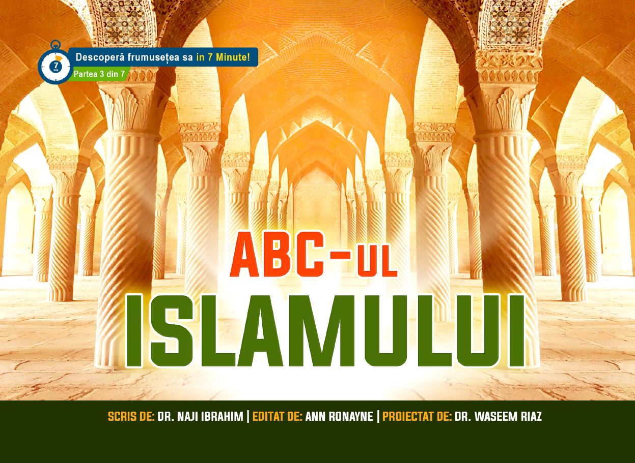 Cras convallis lacus