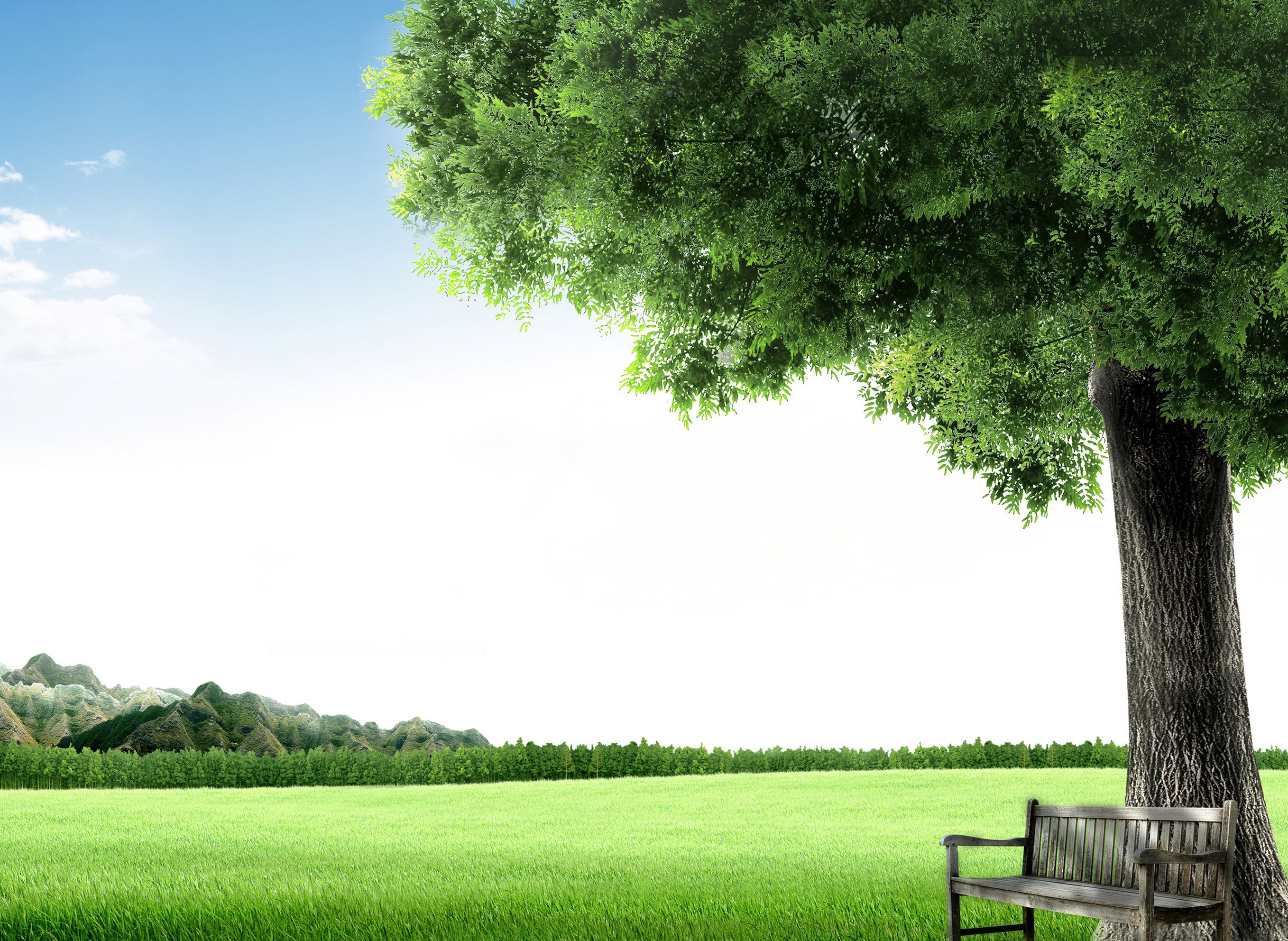 Answering Humanity's Critical Questions — WHO IS THIS TRUE GOD?