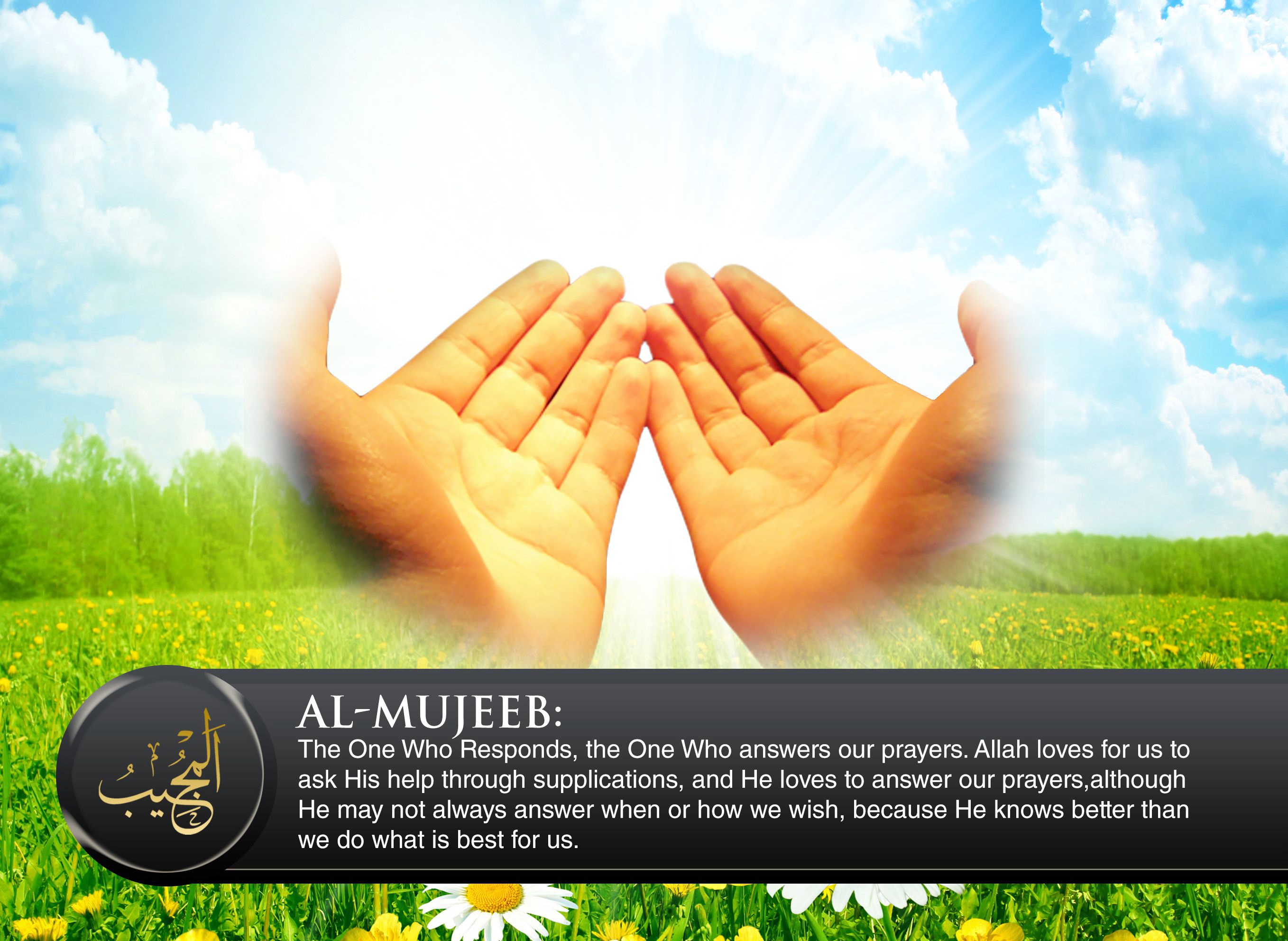 His Beautiful Names — illustration