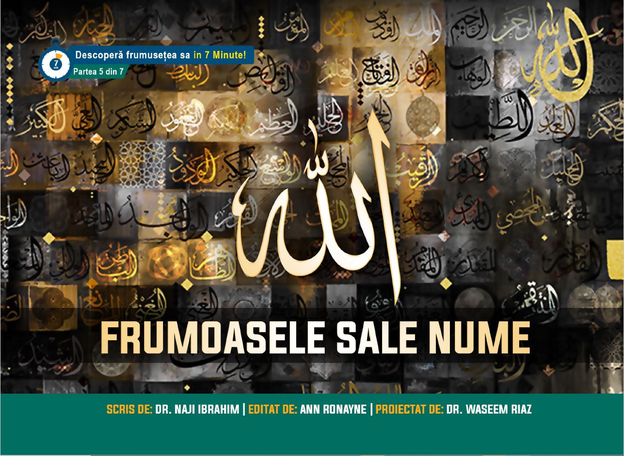 Cras convallis lacus