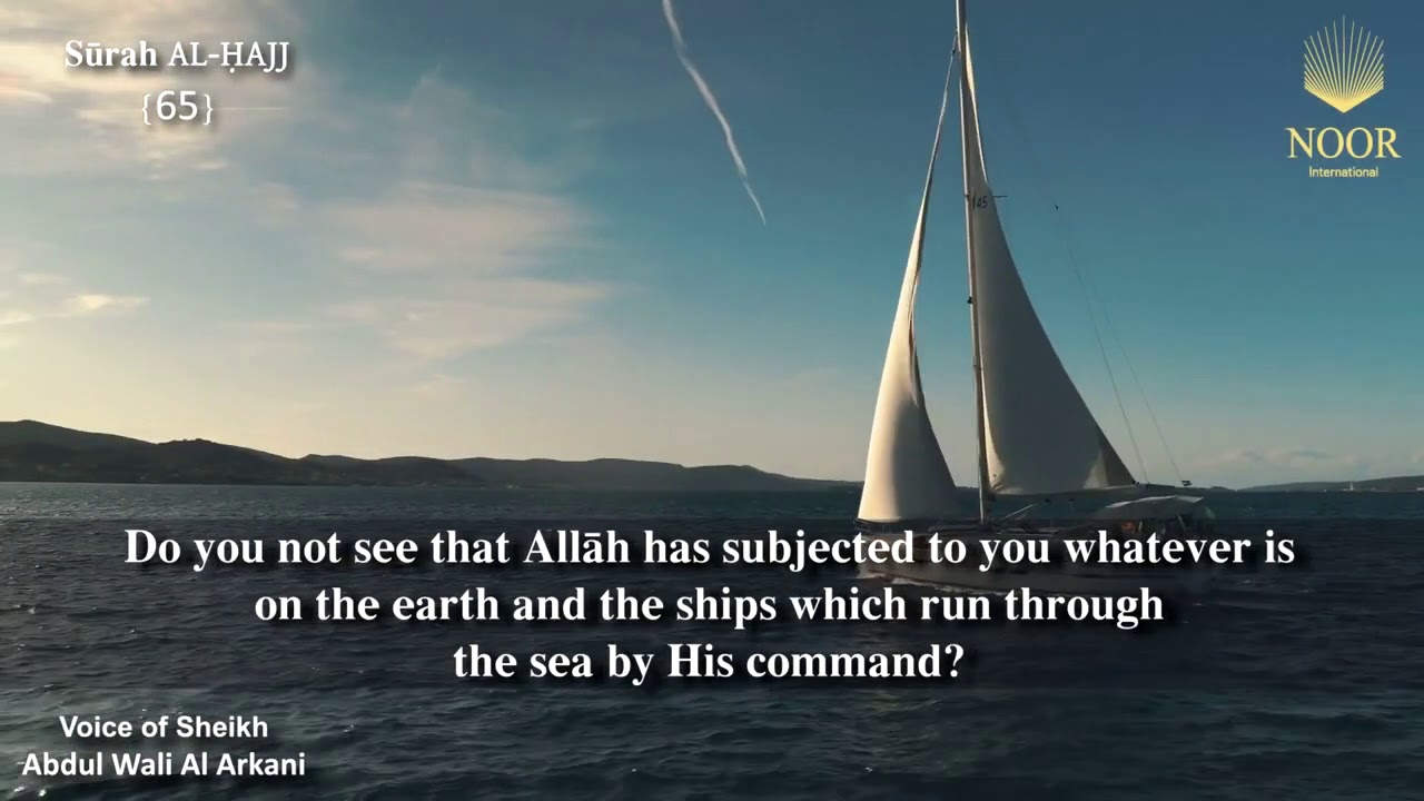 logo0