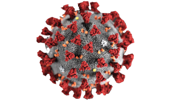Coronavirus: Lessons and Reflections