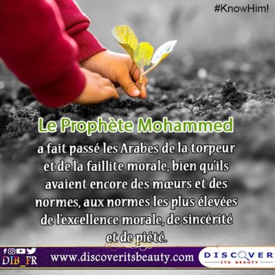 Carte 1