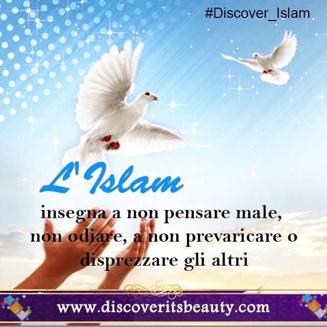 Italian (11)