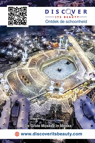 Cras convallis lacus