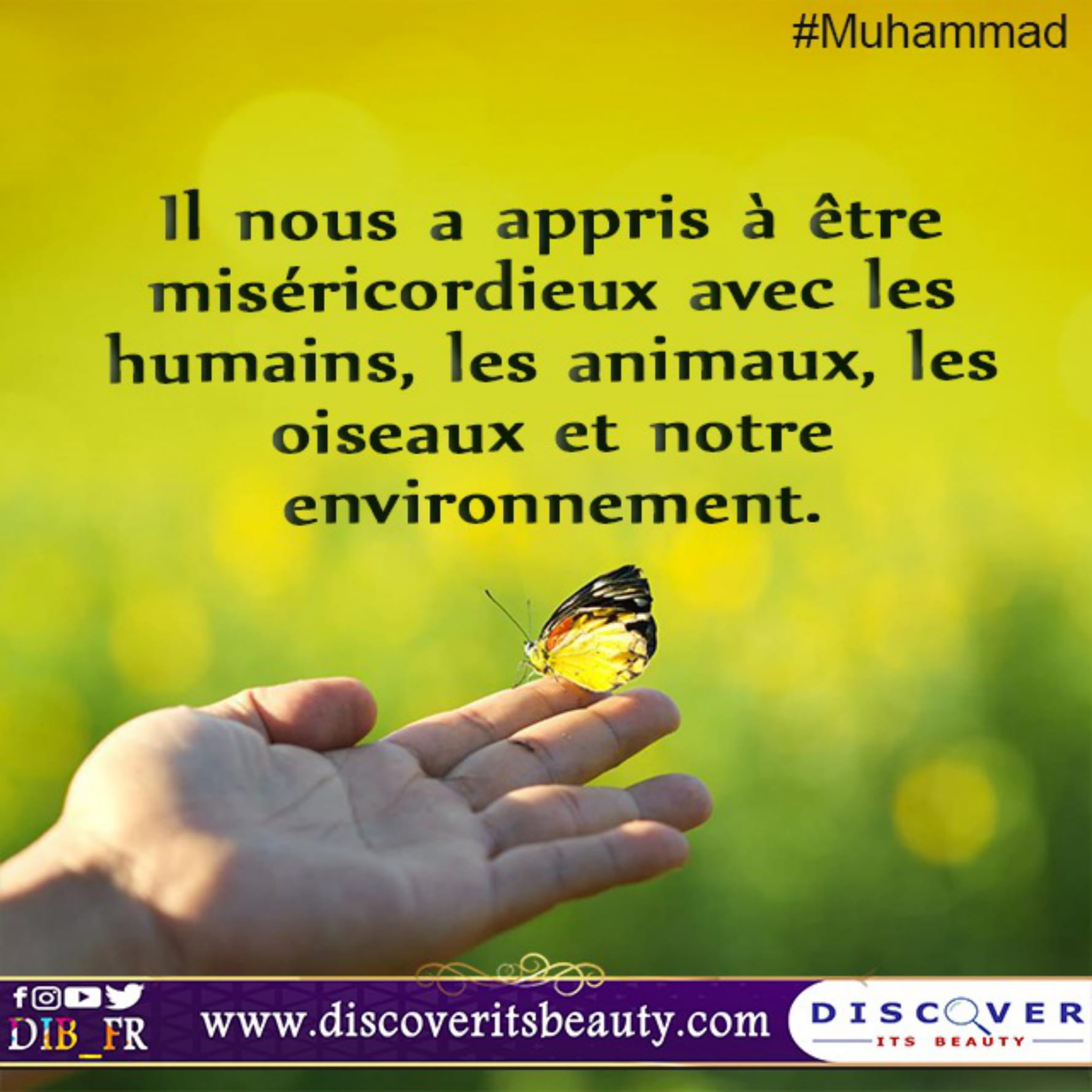 Fr Cards Muhammed