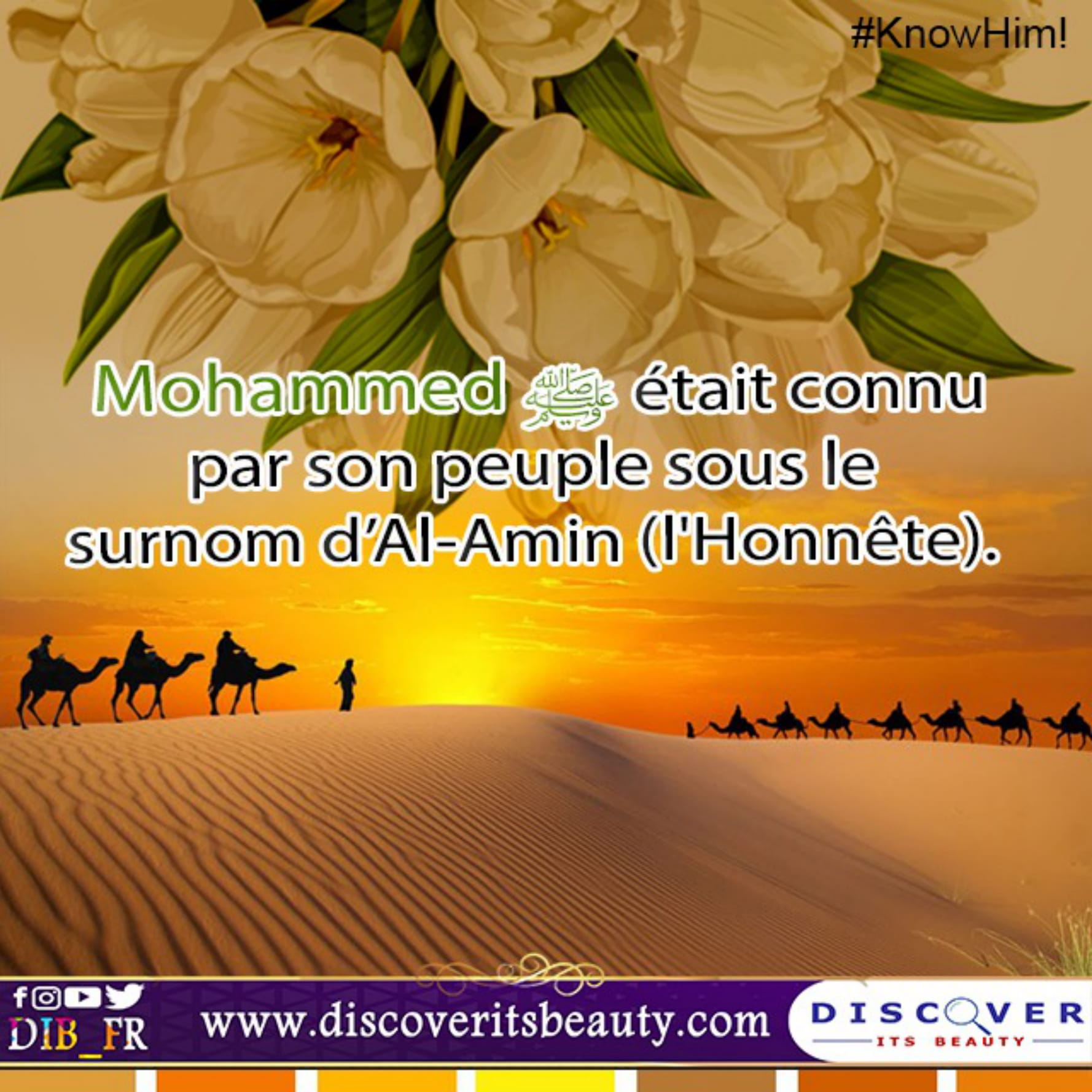 Fr Cards Muhammed