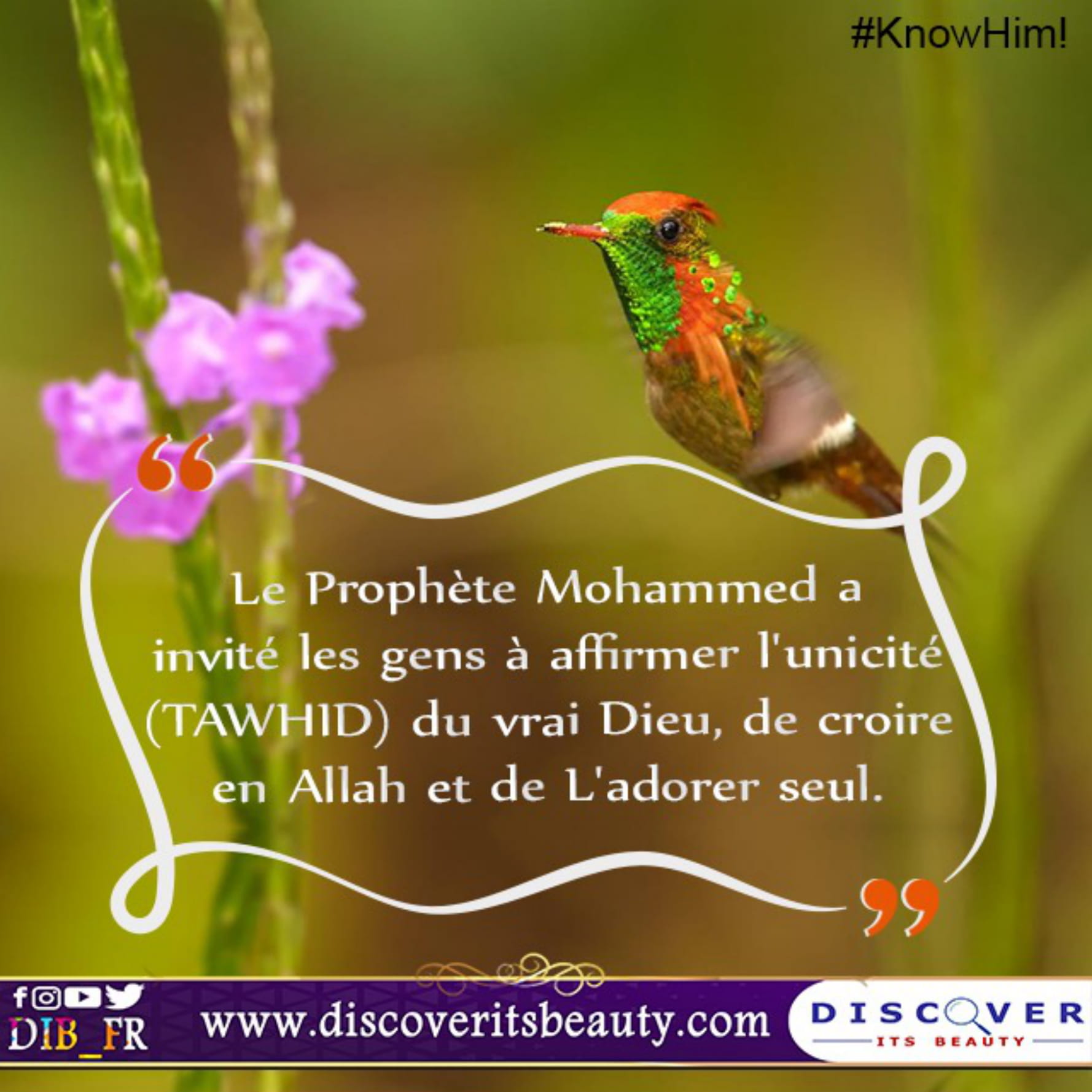 Fr Cards Muhammed