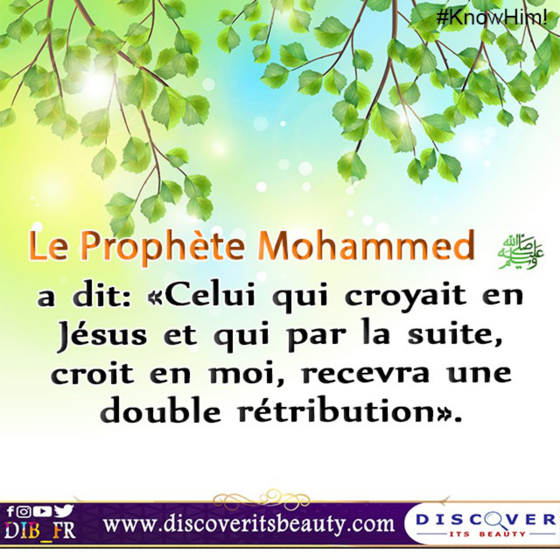 Fr Cards Muhammed