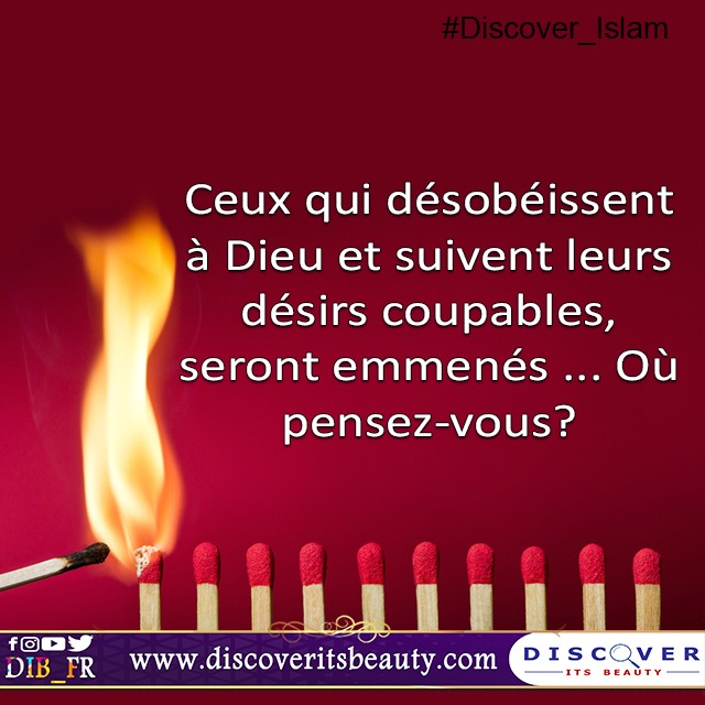 Cras convallis lacus