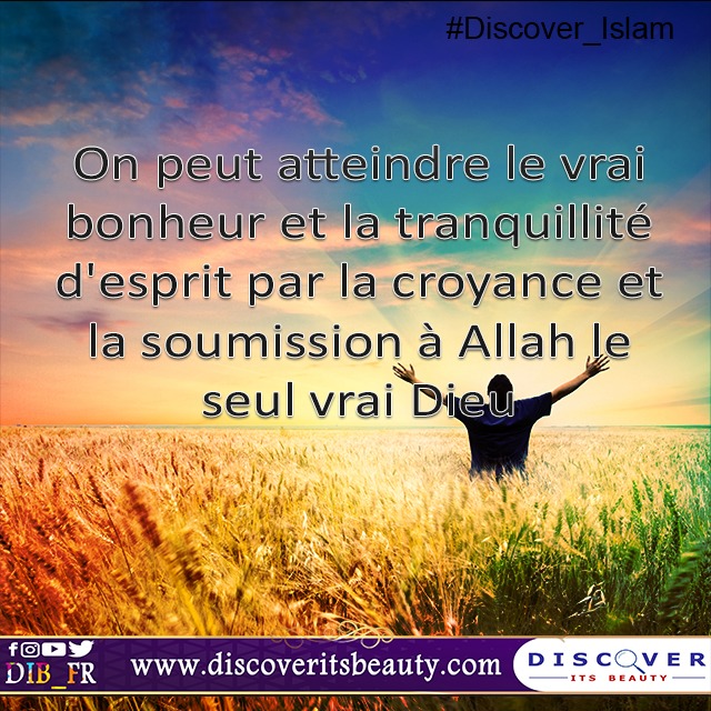 Cras convallis lacus