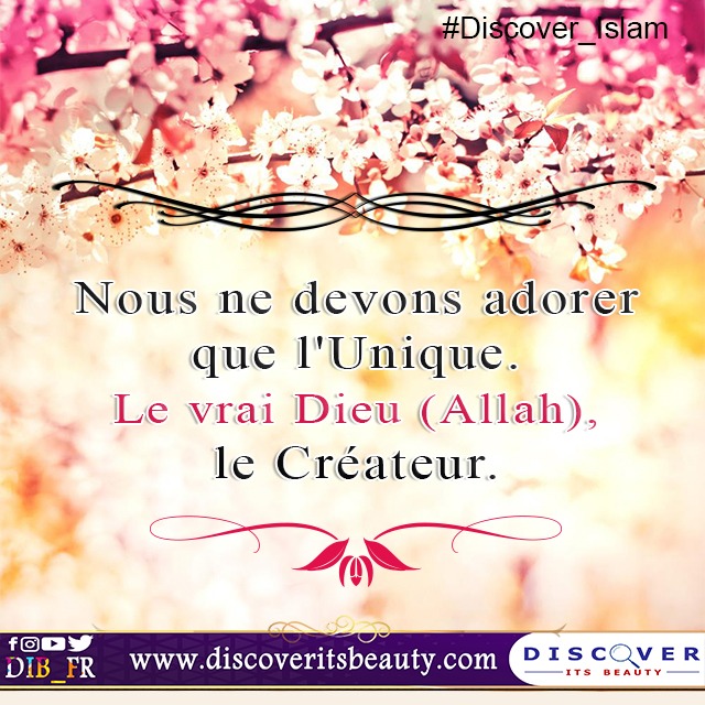 Cras convallis lacus