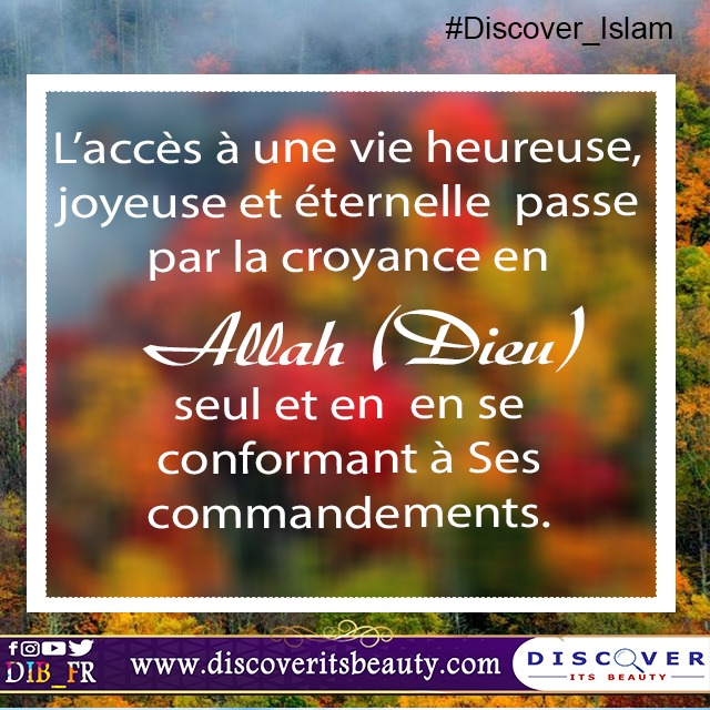 Cras convallis lacus