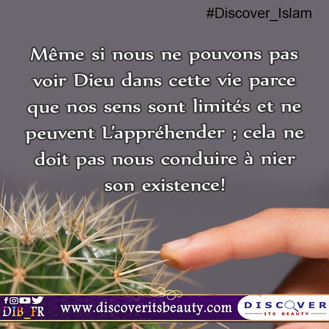 Cras convallis lacus