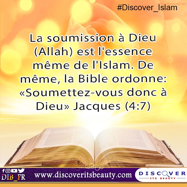 Cras convallis lacus