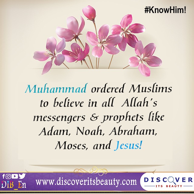 81