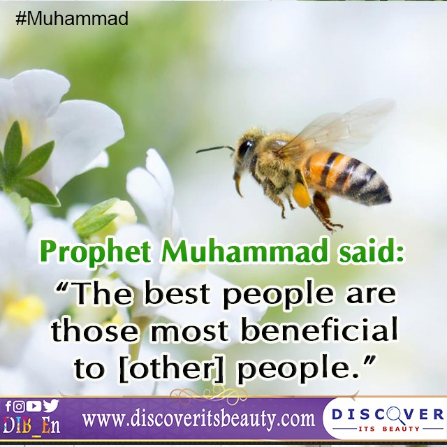 Cras convallis lacus