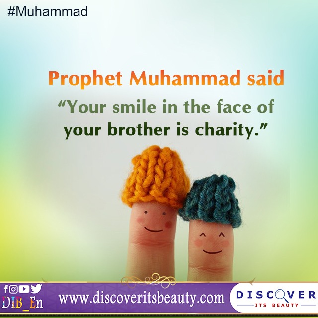 146