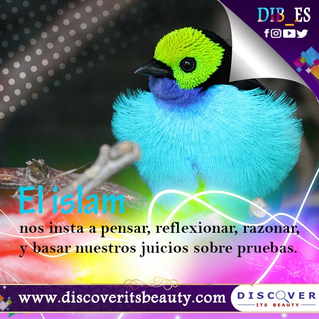 escard