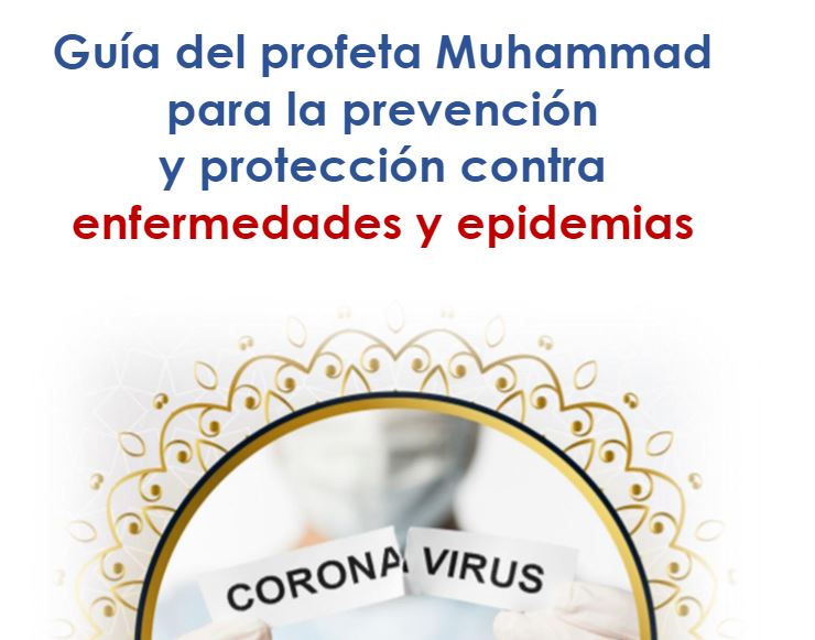 Cras convallis lacus