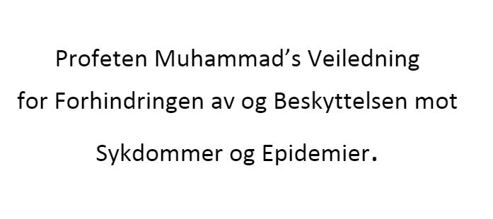 Prophet muhammad's guidance